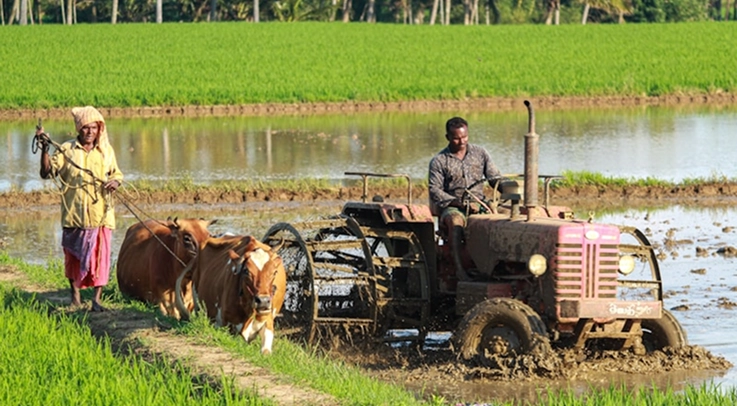 Impact Study: AI-Driven Agriculture Platform Increases Crop Yields by…